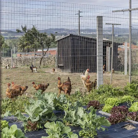 Casa vacanze Quintinha Sao Martinho Luxury 2 Padrao With Sauna