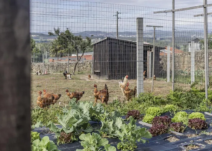 بيت للعطل Quintinha Sao Martinho Luxury 2 Padrao With Sauna